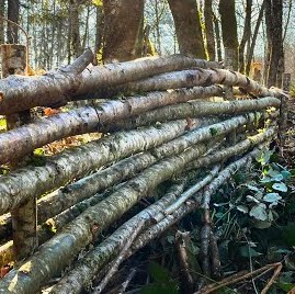 Making A Rustic Dead Hedge - Full Episode